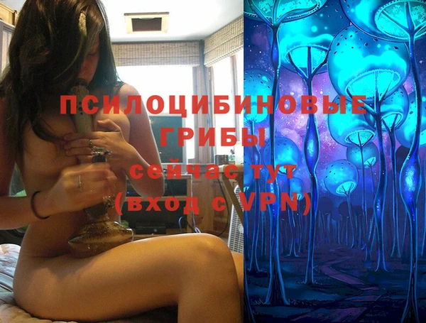 ALPHA PVP Алексеевка